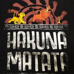 Camiseta Rei Leo Hakuna Matata Dupla Face