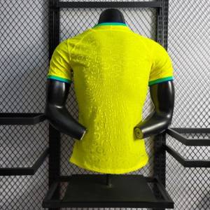 Camisa Do Brasil Nike Torcedor Pro I 22/23 - Masculina