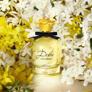 Dolce Shine Dolce&gabbana Feminino