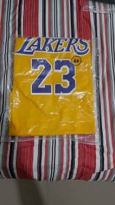 Regata Basquete Nike Nba Lakers Lebron James