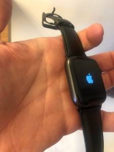 Apple Watch Srie 6 44mm Platium