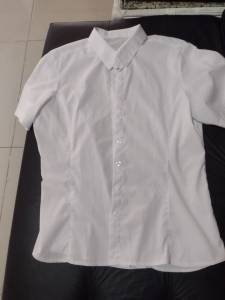 Camisa Social Feminina G