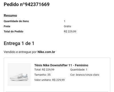 Tnis Nike Feminino