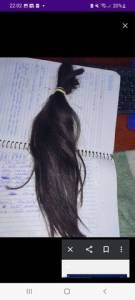 Cabelo Humano