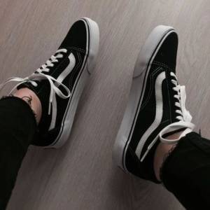 Vans Clssico