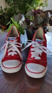 Tnis All Star Com Salto Edio Limitada R$120