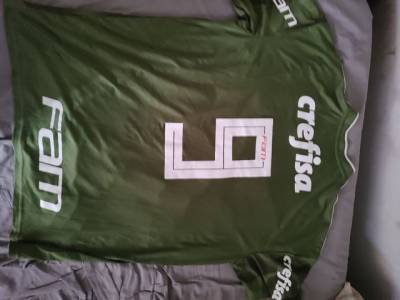 Combo Com 2 Camisas Do Palmeiras Oficiais