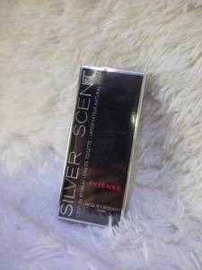 Perfume Masculino Silver Scent Intense 100ml - Loja Fisica - Entregamos