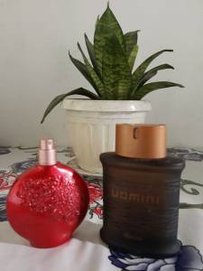 Perfumes Floratta Red + Uomini