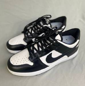 Nike Dunk Low Sb Linha Premium