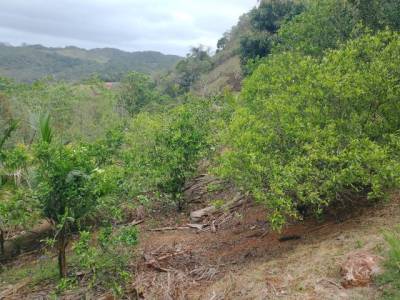 Chcara Marechal Floriano 5000 Mil Metros Quadrados