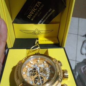 Invicta Zeus