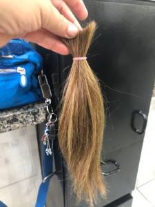 Cabelo Humano