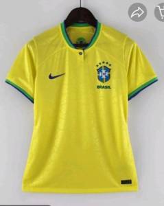 Camisa Seleo Brasileira 2020 P Masculina E Feminina