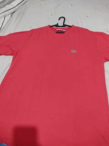 Camiseta Lacoste Bsica