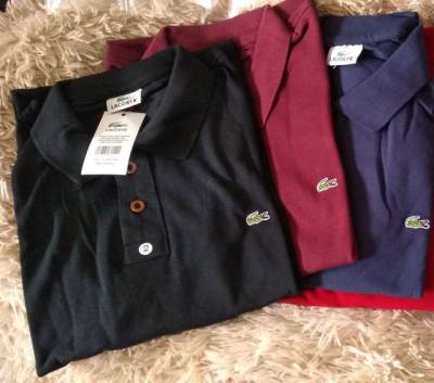 Camisas Polos Algodo Piquet G1 G2 G3