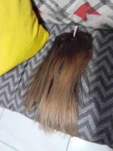 Cabelo Gaucho