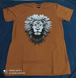 Lote De Roupa Camisetas Masculino