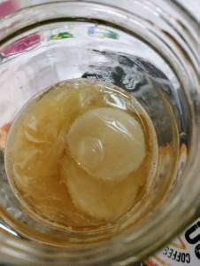 Scoby 7 Cm Kombucha Artesanal