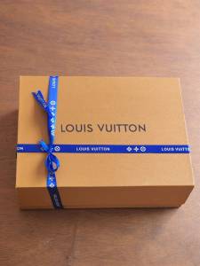 Bolsa Louis Vuitton Na Caixa !