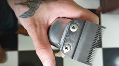 Wahl Senior Cordless