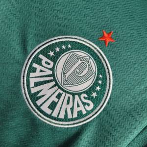 Camisa Do Palmeiras Verso Torcedor 22/23