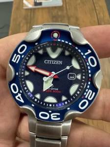 Citizen Orca Azul Novo