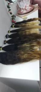 Cabelo Humano