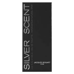 Perfume Silver Scent 100ml