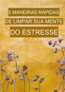 5 Maneiras Rpidas De Limpar Sua Mente Do Estresse