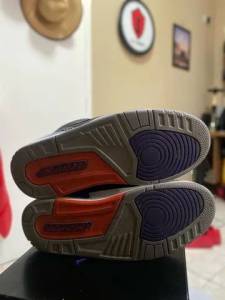 Nike Air Jordan 3 Court Purple