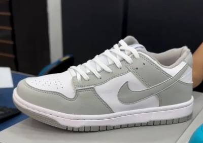 Nike Dunk ? (novo)