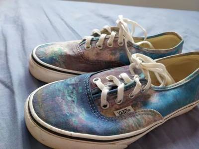 Vans Van Gogh Usado 3 Vezes