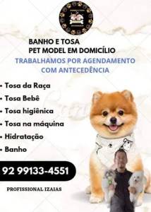 Banho E Tosa Em Domiclio Trabalhamos Por Agendamento