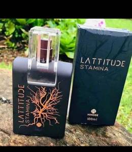 Perfume Masculino Latitude Stamina