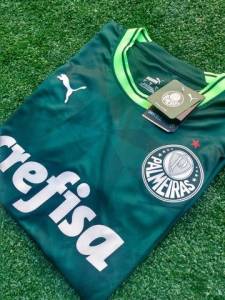 Camisa Do Palmeiras Cor Verde!!