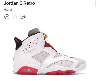 Air Jordan 6 Tananho 44 Perfeito Estado