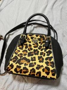 Bolsa Pequena Carmen Steffens