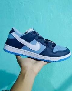 Nike Dunk Casual