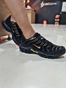 Air Max Tn 95 Plus (entrega Grtis)