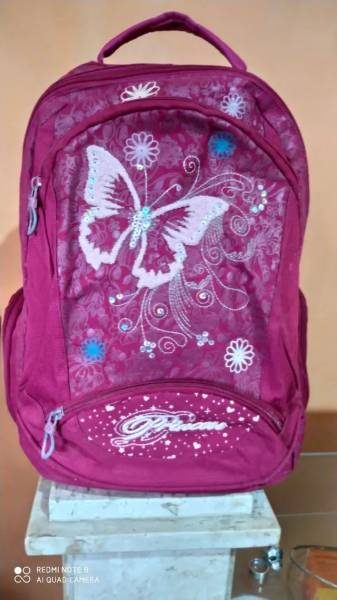 Mochila Da Barbie ( Princess )