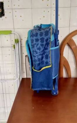 Mochila De Rodinhas Infantil